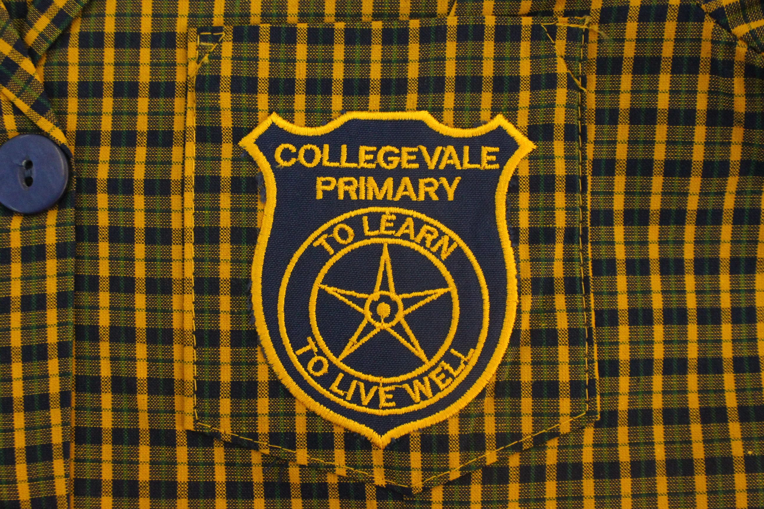 Check Dress Emb - Collegevale - Image 3