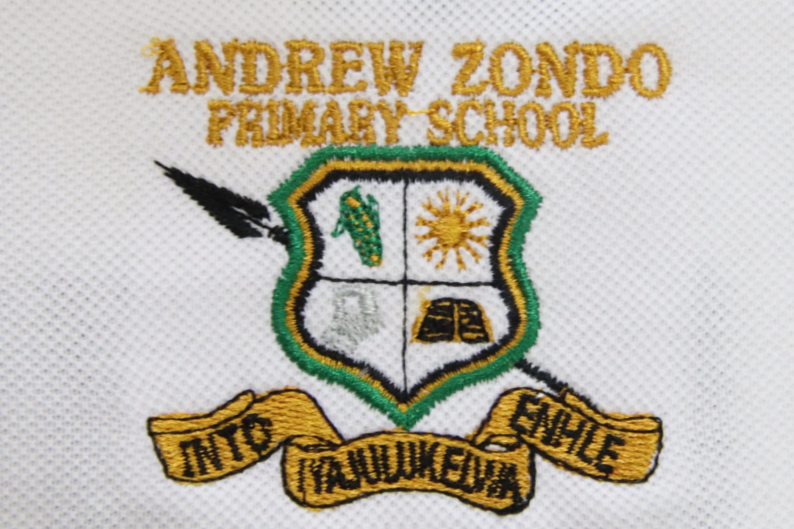 Golf Shirt Emb/ Print - Andrew Zondo - Image 3